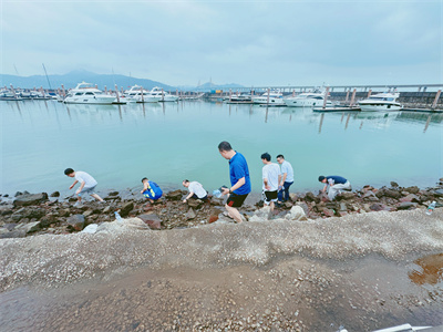 6月1日研发惠东7