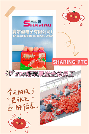 2024年10月苹果
