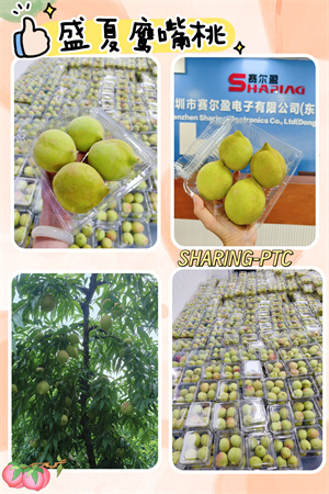 2025年7月鹰嘴桃（宽度300）