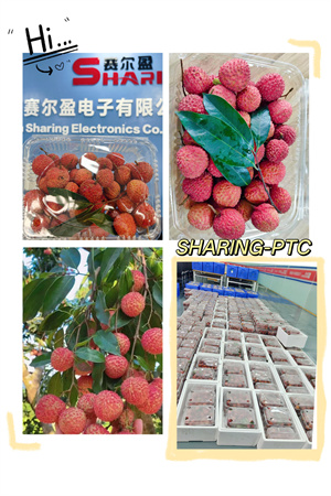 2025年6月荔枝（宽度300）