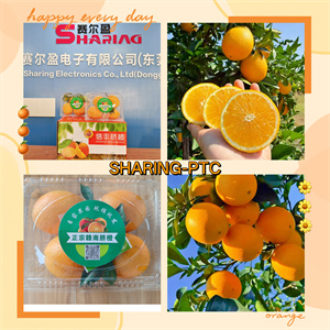 2025年11月脐橙（宽度300）