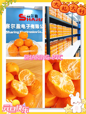 2025年12月沃柑（宽度300）